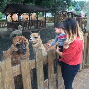 Meet your Posher, Sofia